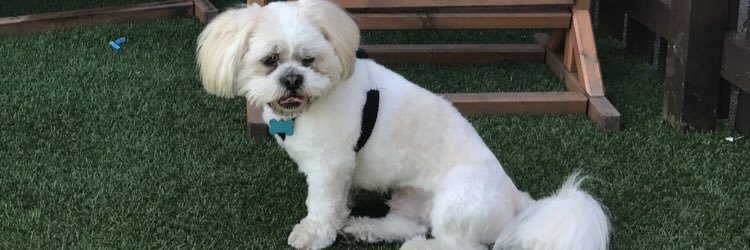 ChloRobson's profile banner image
