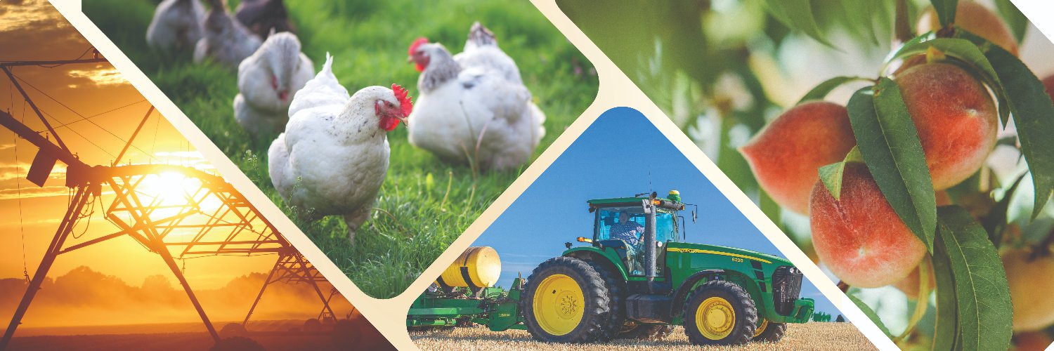 Georgia Department of Agriculture's banner