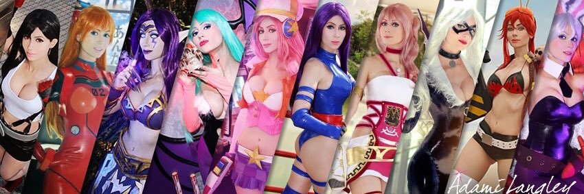 Adami Langley banner