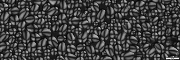 CarlosG_SM Profile Banner