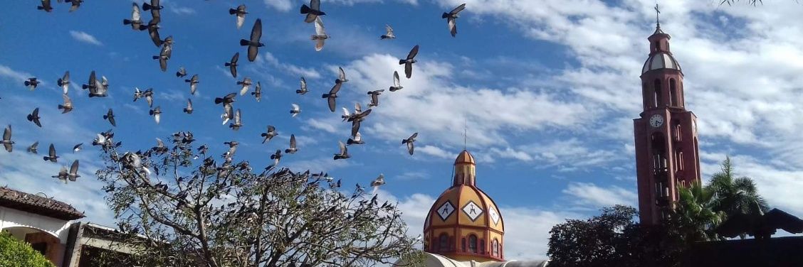 Observatorio Seguridad Humana de Apatzingán banner