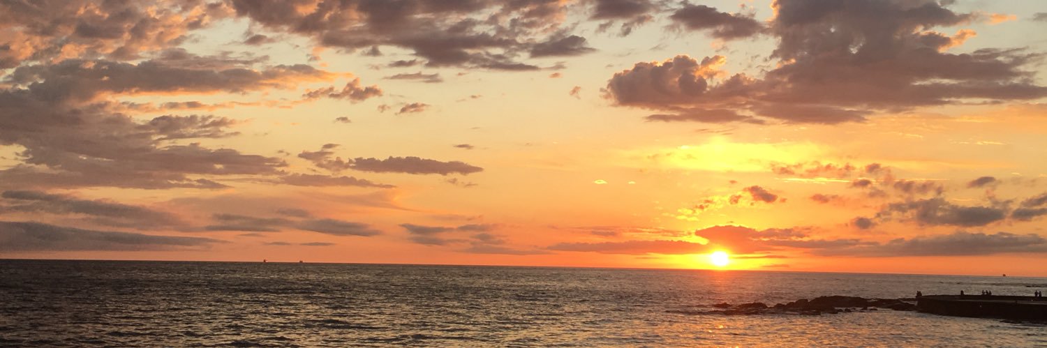 virginiabru's profile banner image