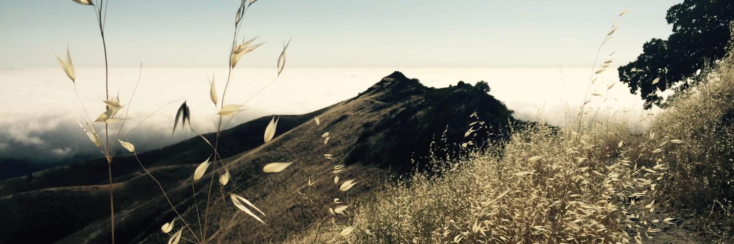 Lieserli's profile banner image