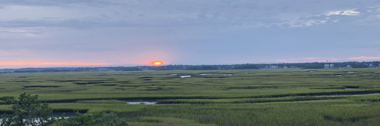 taylor_musa's profile banner image