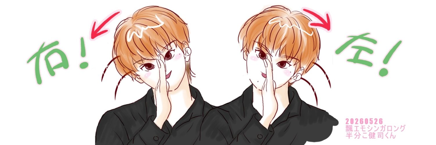 Snowy_Night_'s profile banner image