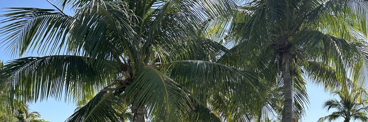 tmart_3's profile banner image