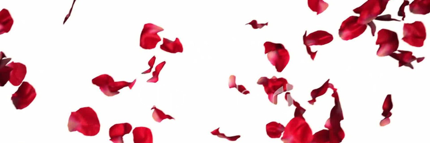 Bachelor Nation banner