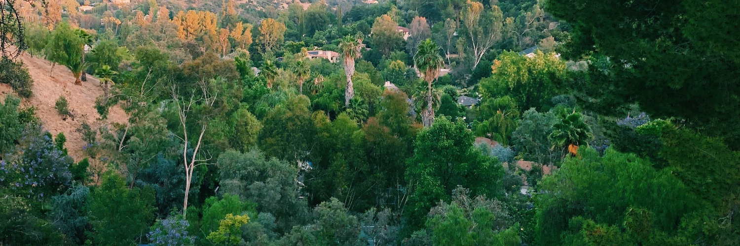 essvvtt_'s profile banner image