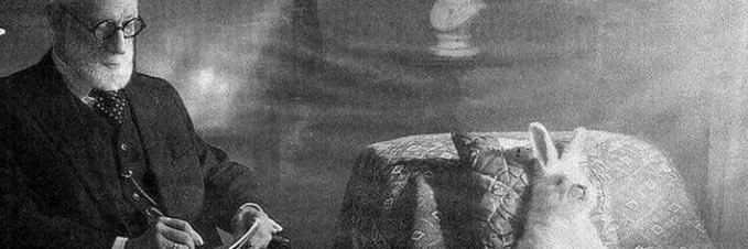 md_queen's profile banner image