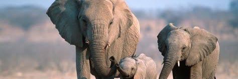 Héctor Zúñiga banner