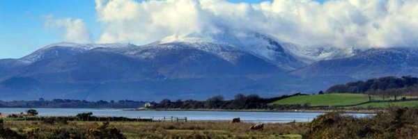 AFBI_CEO Profile Banner