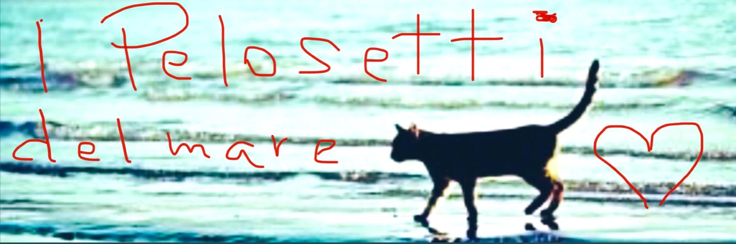 😻I PELOSETTI DEL MARE😻 In ricordo di Zenzero ❤️'s banner