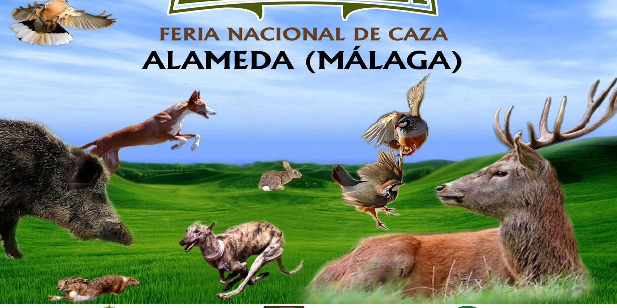 FENCAZA banner