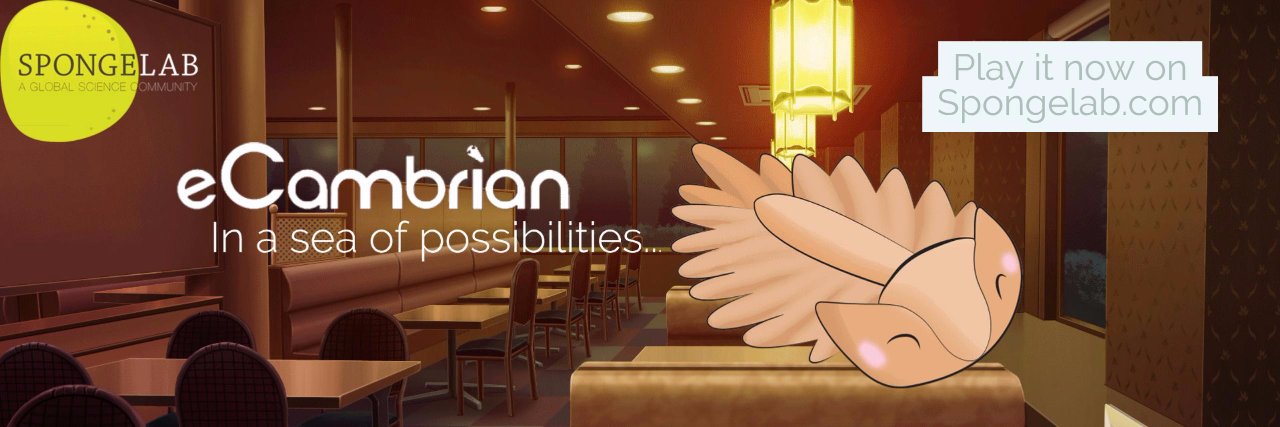 Spongelab's profile banner image