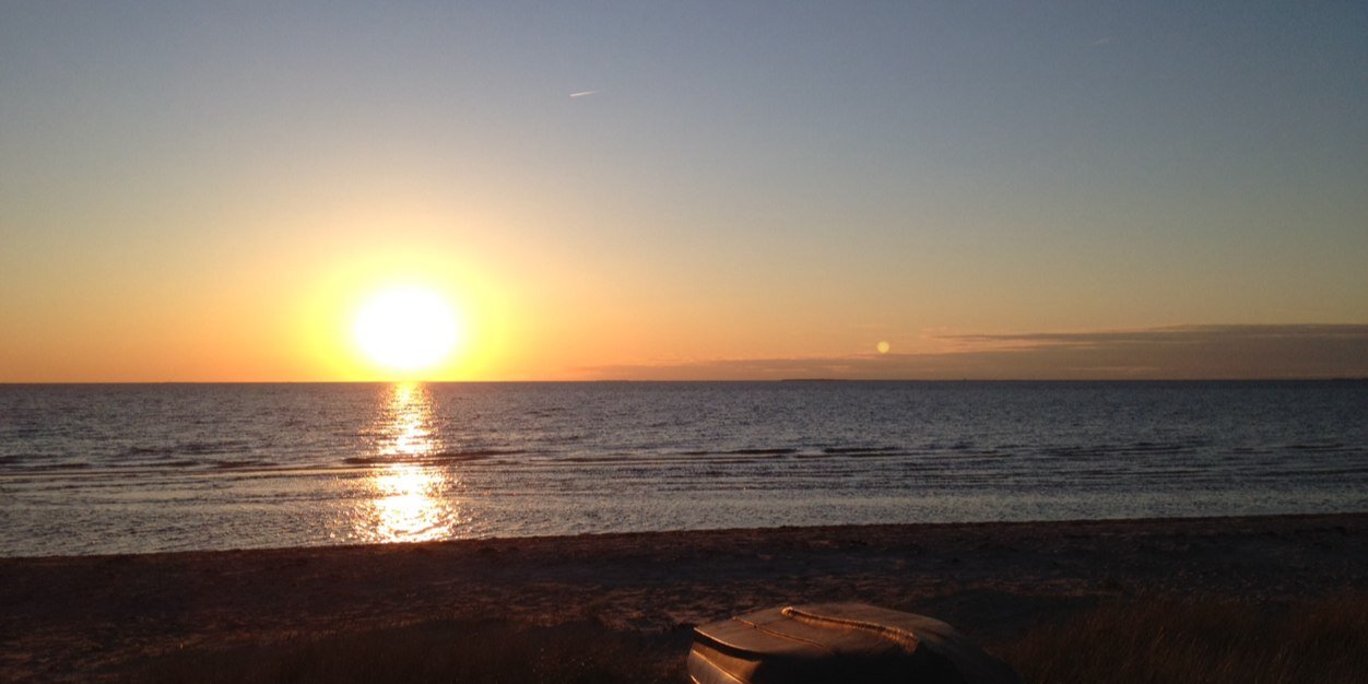 Lars L. Nielsen banner