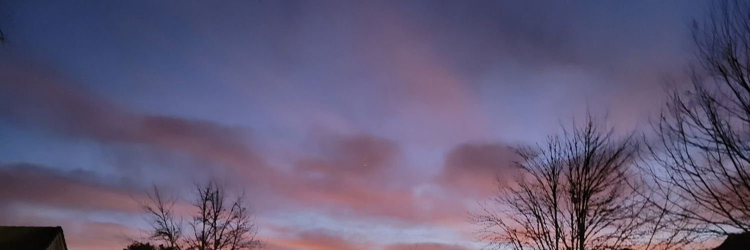 MorganMontague's profile banner image