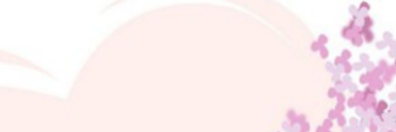 msquivada's profile banner image