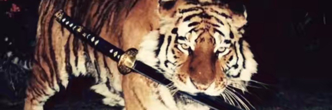 oeulleramos's profile banner image