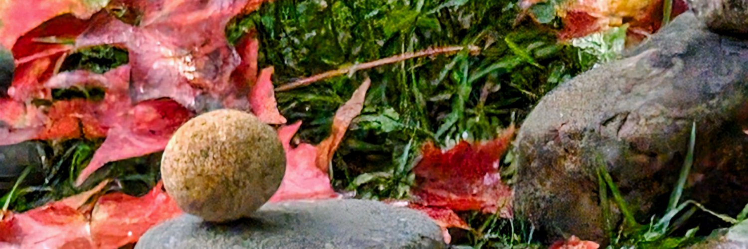CVPDVT's profile banner image