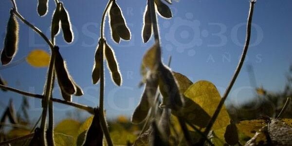 embodega's profile banner image