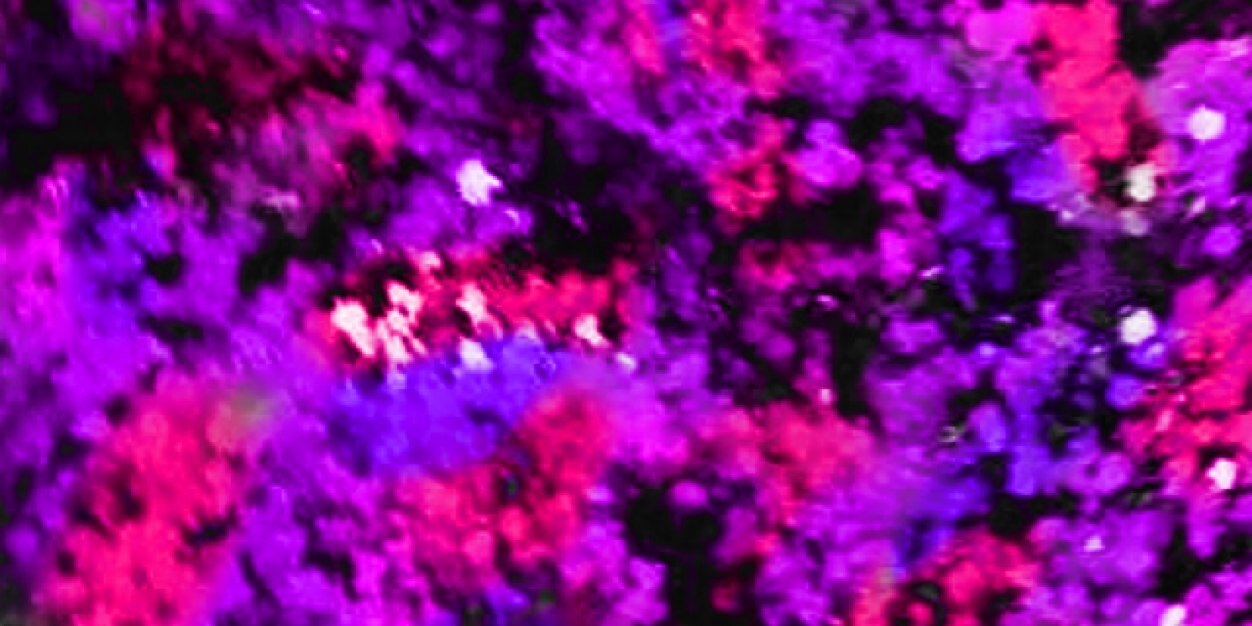 BatleyNatali's profile banner image