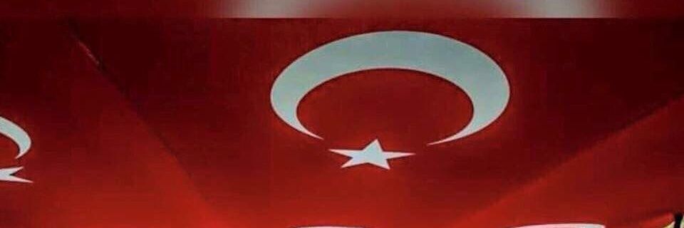 SelukTOSUN's profile banner image