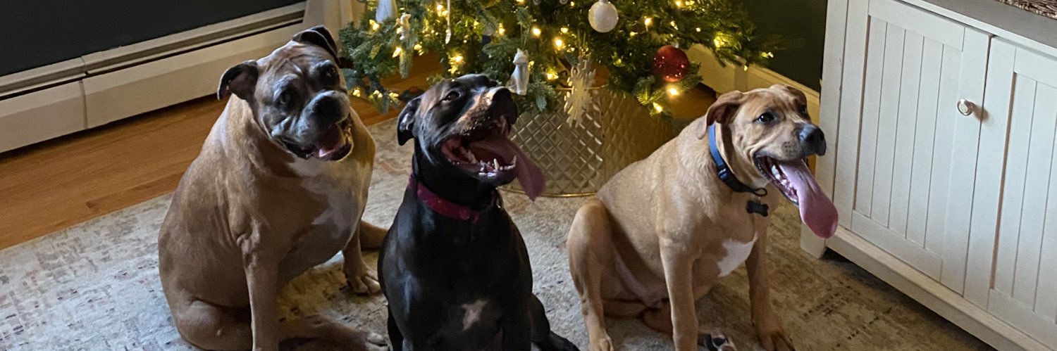 emilyrubyyy's profile banner image