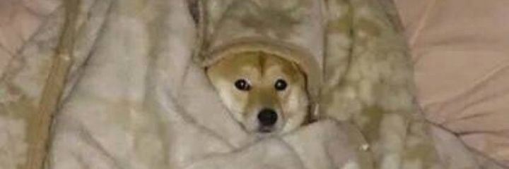 AguilerRodrigo's profile banner image