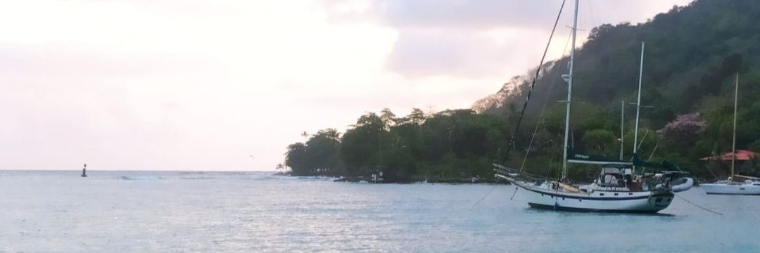 Maurocaos17's profile banner image