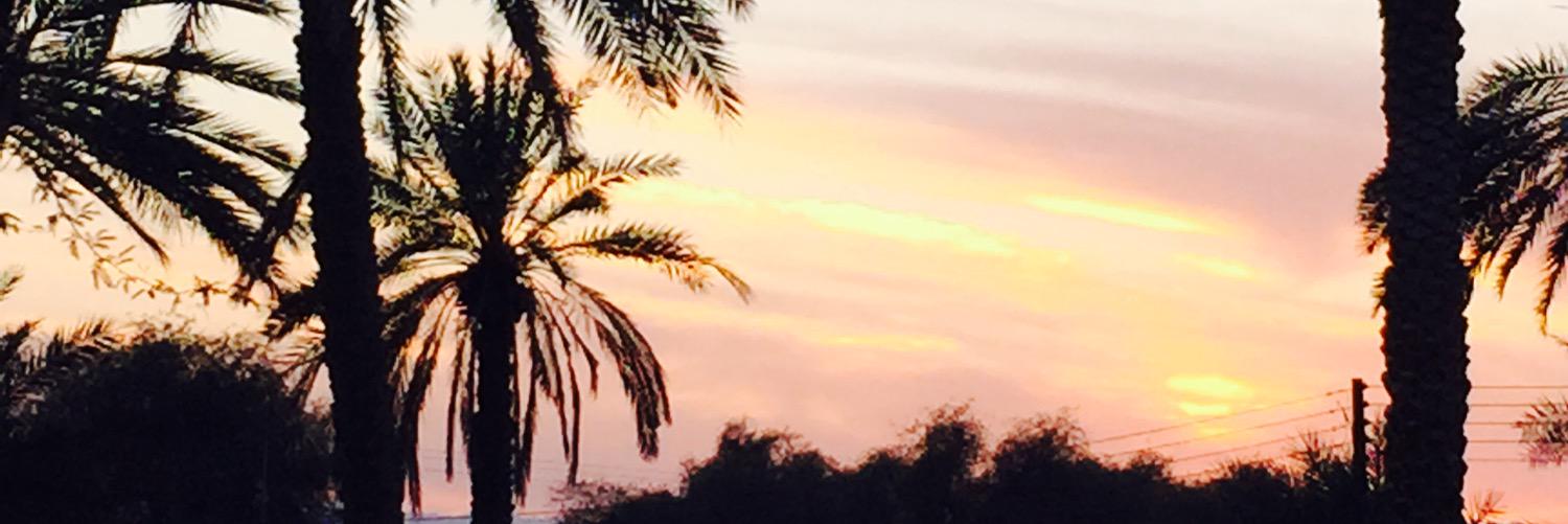 MozaaAlsaadi's profile banner image
