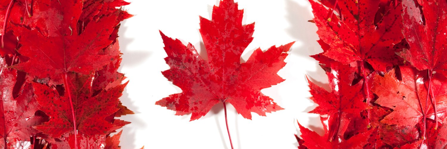 True North Strong and Free banner