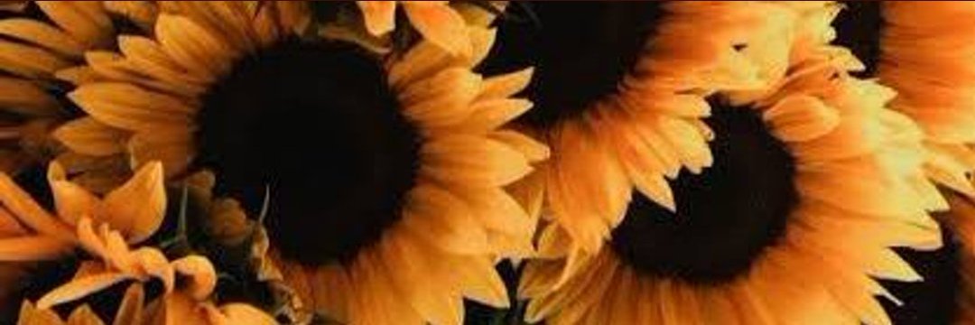 Naatholive's profile banner image