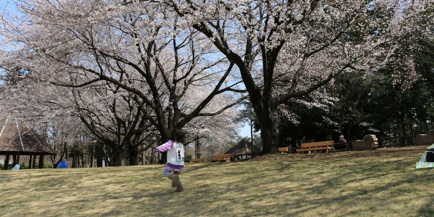 911Kazu's profile banner image