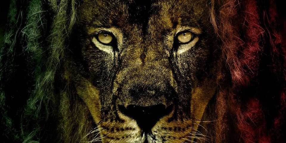 300Jayy's profile banner image