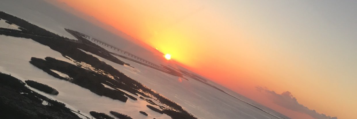 ally_bruner7's profile banner image