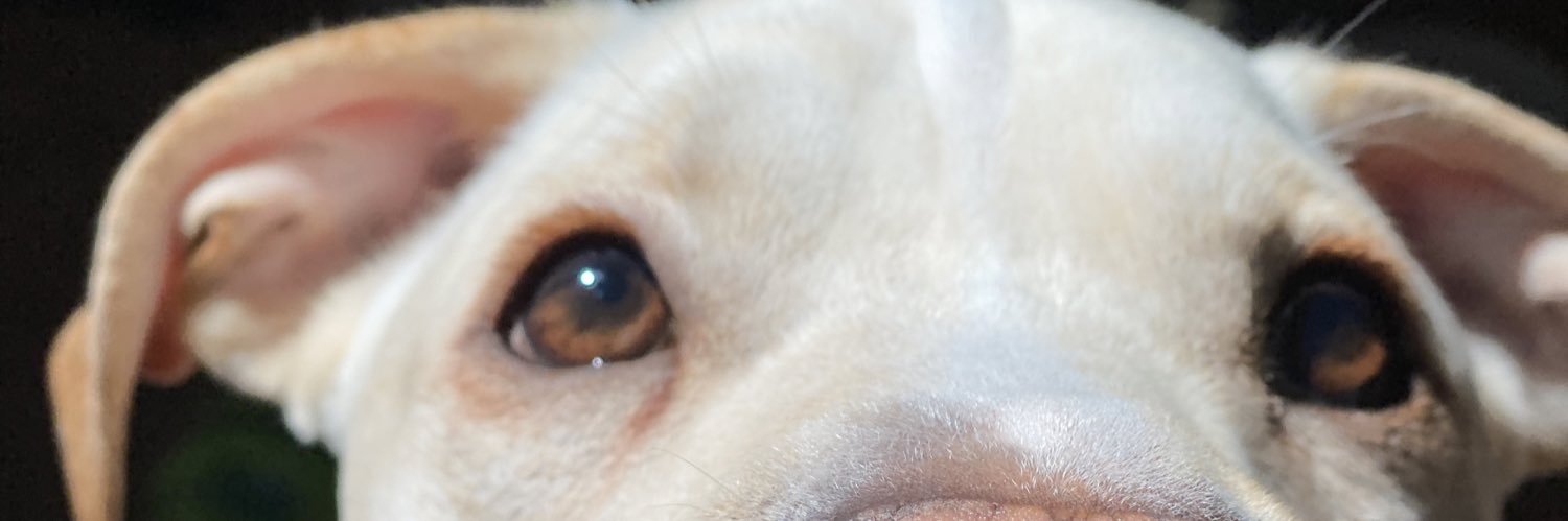 jaywrenn32's profile banner image