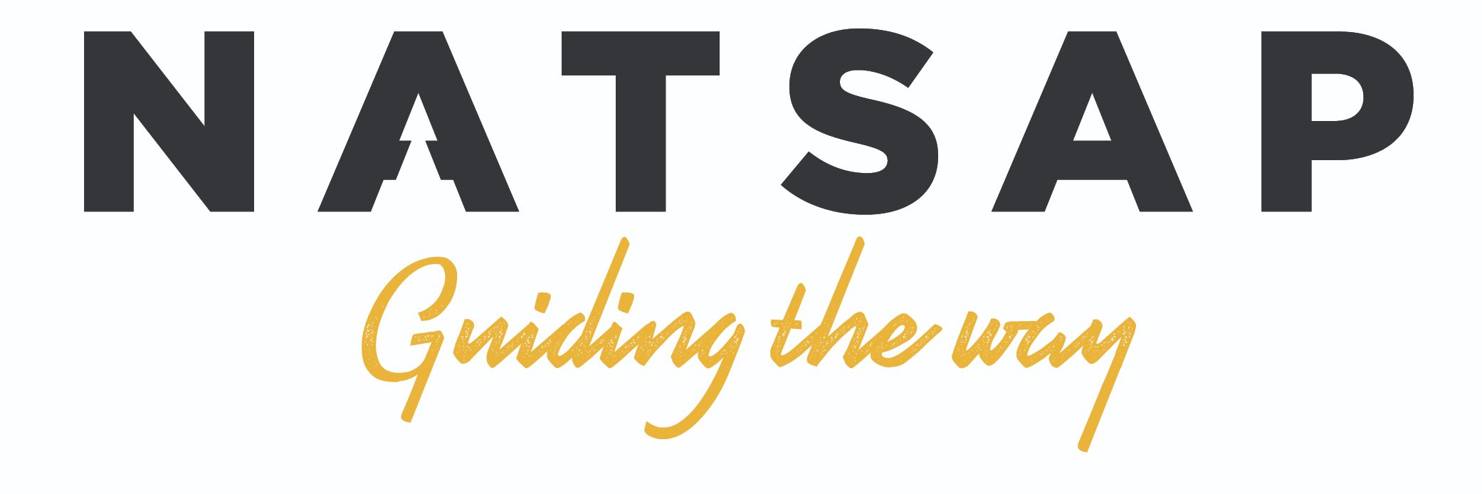 NATSAP banner