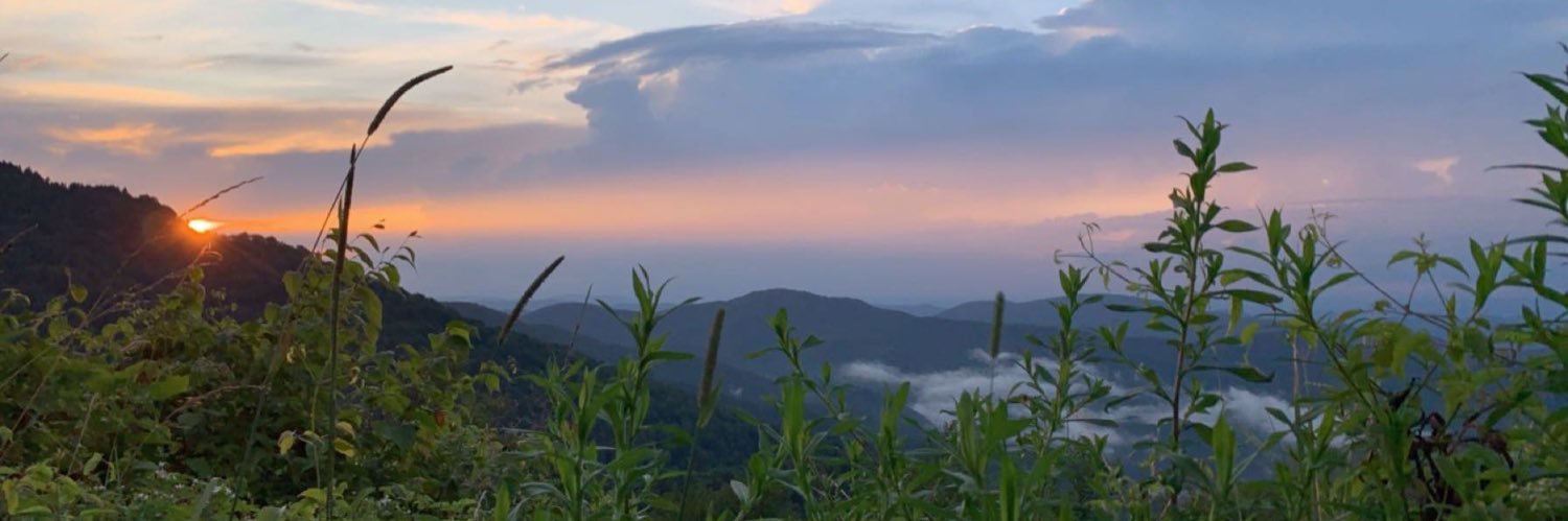 CalhounMaddi's profile banner image