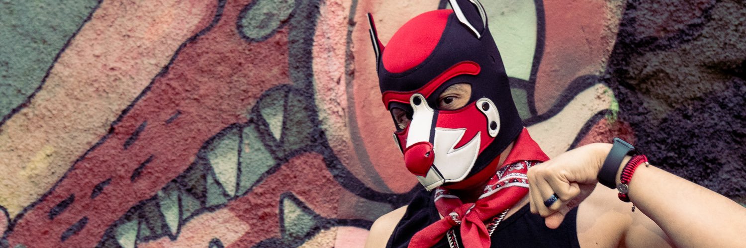 melvdj's profile banner image