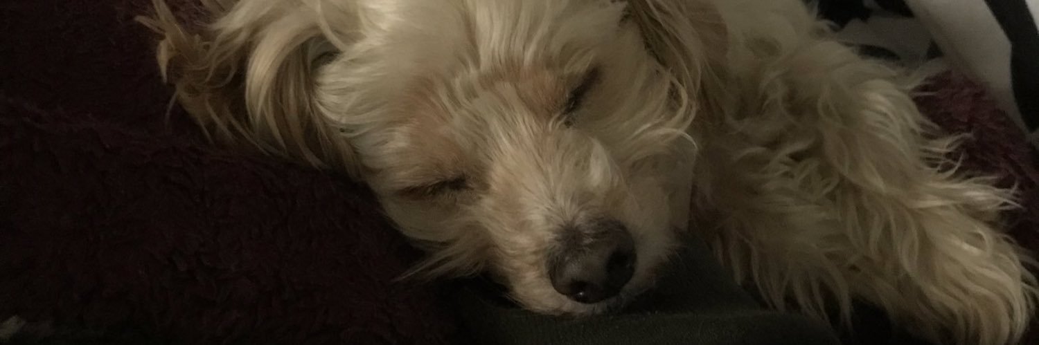joejowas's profile banner image