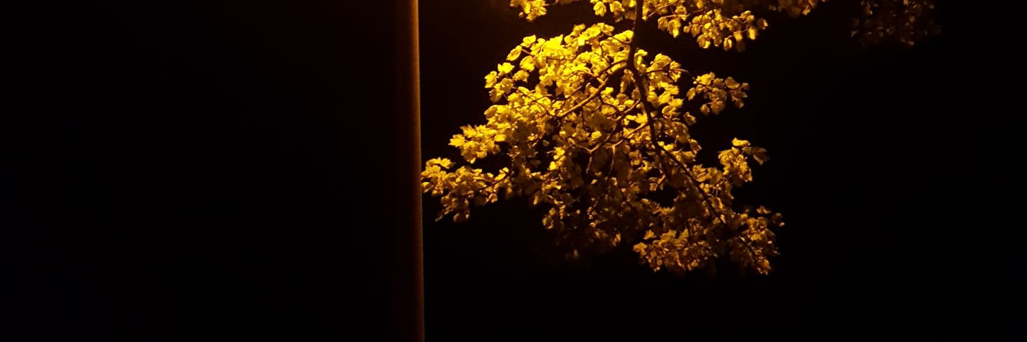 ambersflow's profile banner image