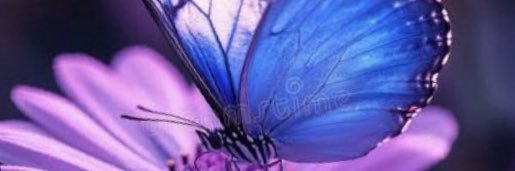 1LilMisSunshine's profile banner image