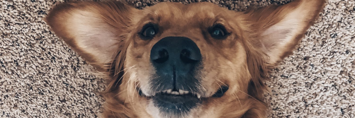 VictoriaGray_'s profile banner image