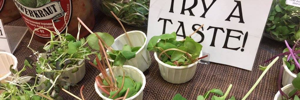 Vital Communities banner