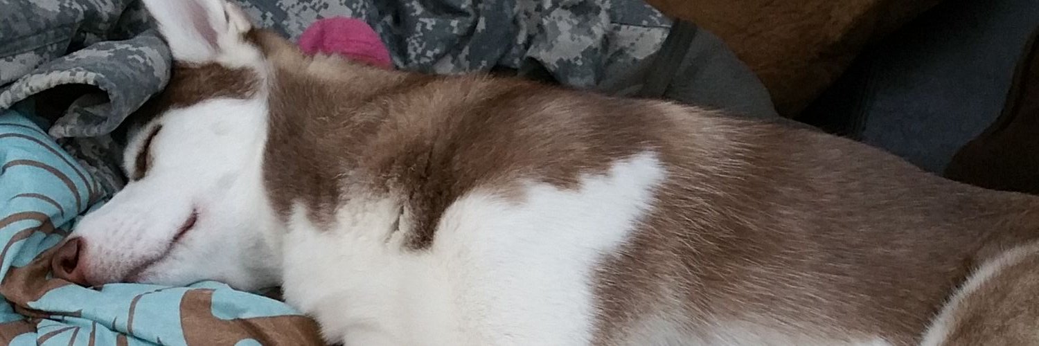 amber_mag's profile banner image