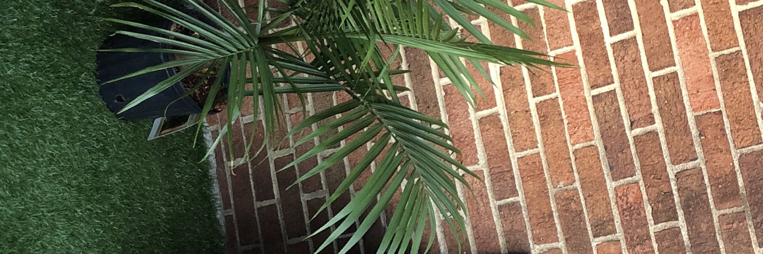 thelorddingus's profile banner image
