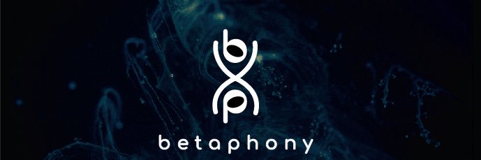 Betaphony's profile banner image