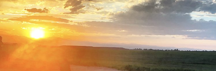 CottrellBilly's profile banner image
