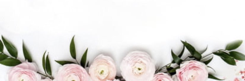 HaileeMckenzie's profile banner image