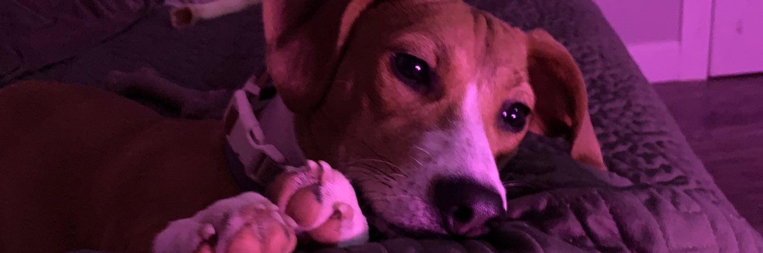kayleex32's profile banner image